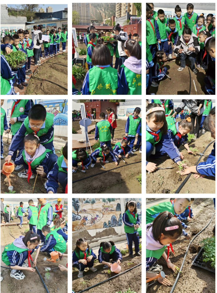 1713833544_0433_95129.png 4.png