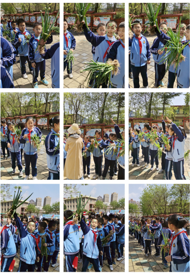 1713833589_7135_30081.png 5.png